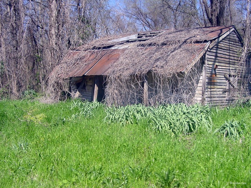 Rodney, Mississippi - Mississippi 3-05 041